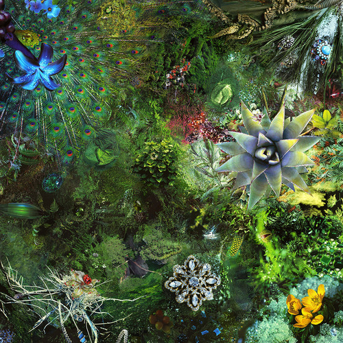 Springtime mutations_big